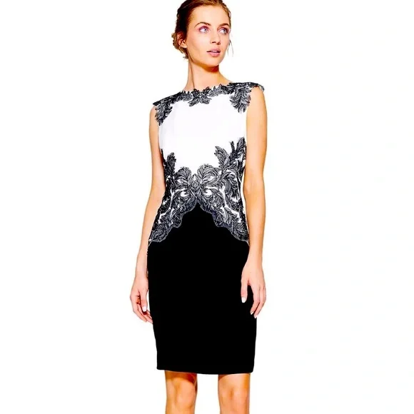 Poshmark 2024 tadashi shoji
